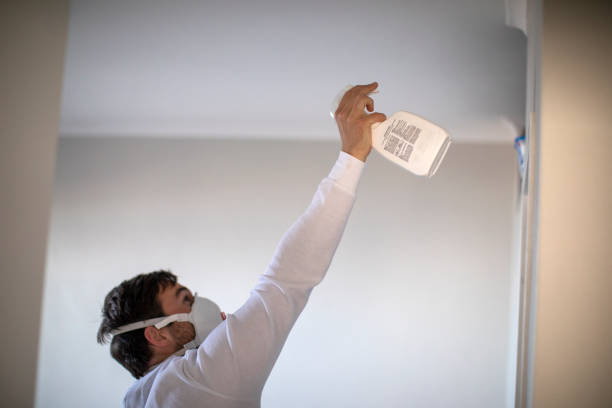 Best Residential Mold Remediation in Wahoo, NE