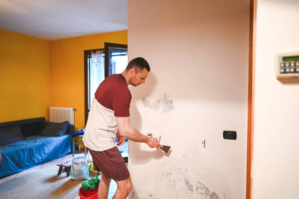 Best Mold Remediation for Schools in Wahoo, NE
